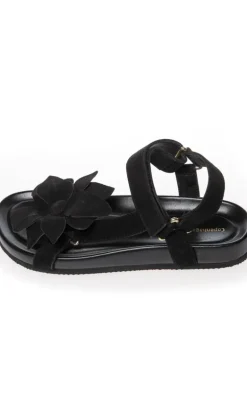 Copenhagen Shoes Sandaler - My Flowers - Black